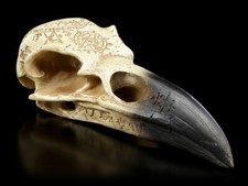 Alchemy Rabenschädel - Omega - Gothic Vogel Krähenschädel Deko Altar