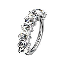 Tragus Ohr Helix Nasen Septum