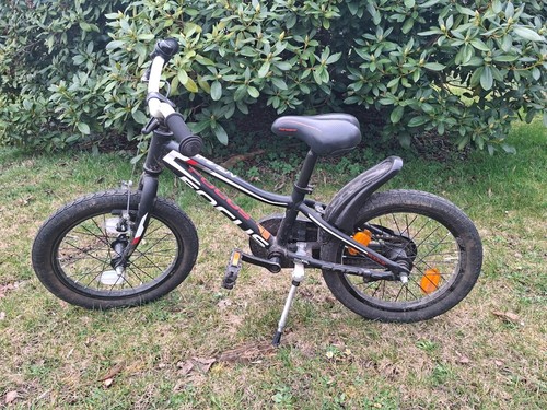 Kinderrad focus raven - raven, rookie