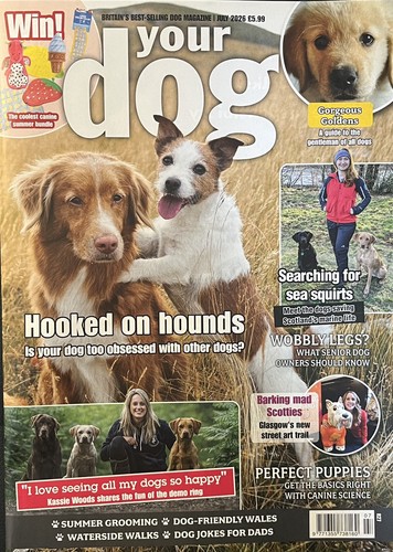 Your dog magazine - dog, issue