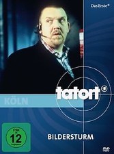 Tatort: Bildersturm von Niki Stein | DVD | Zustand sehr gut