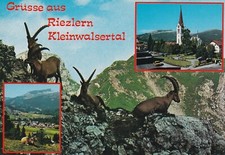 Postkarte - Riezlern /