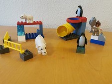 LEGO Duplo Polartiergehege Zoo