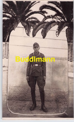 Original foto wehrmacht dak - foto,