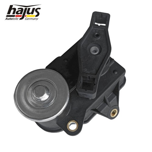Hajus stellelement - hajus,