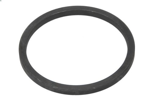 Dichtring achsschenkel dana - dichtring,,