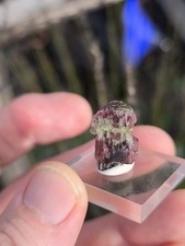 Wassermelonen Turmalin