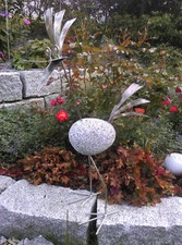 Stolzer Steinvogel aus