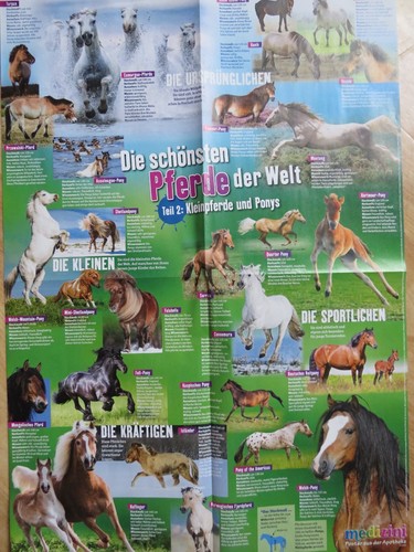 Poster 59x42cm beidseitig - 59x42cm,