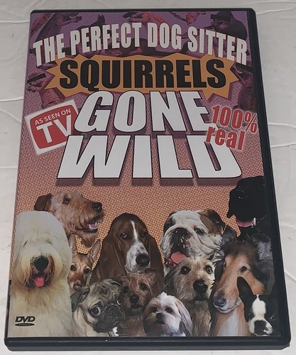 Squirrels gone wild - wild,
