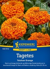 Kiepenkerl  TAGETES " Taishan