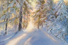 Ölbild. Ölgemälde. Sonniger Winterwald. 60x90cm.