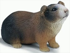 Schleich 14417 meerschweinchen - schleich,