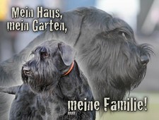Schnauzer RIESENSCHNAUZER