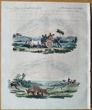 Antilopen Jagd Leopard -