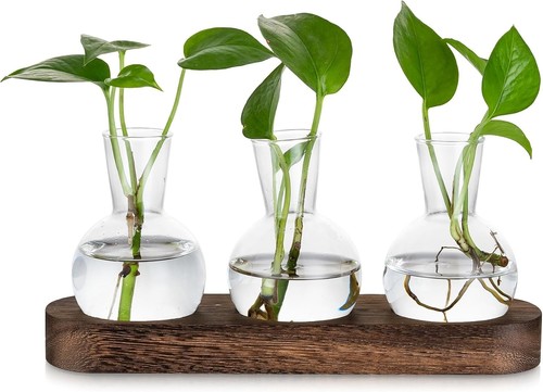 Glas terrarium 24cm mini - glas,