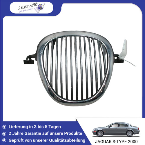 Grille jaguar - 🇩🇪,