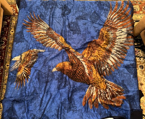 Adler falke raubvogel schal - falke?,