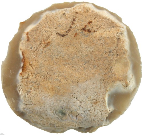 Neolithium superbes - ,