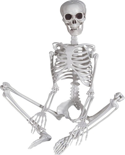 90cm halloween skelett plastik - 90cm,
