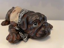 Englische bulldogge klein - englische,