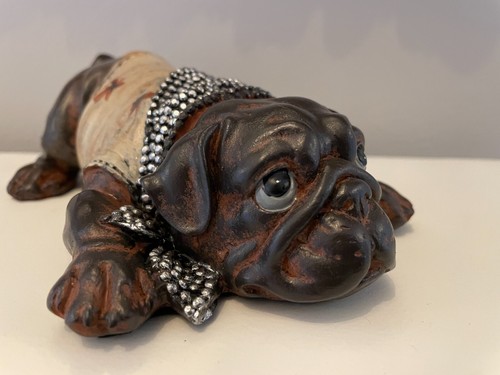Englische bulldogge klein - englische,