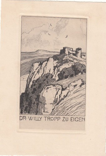 Exlibris bookplate radierung - exlibris,