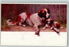 39166314 - Nr. 765 sign. C. Reichert Hund Welpe AK M. Munk Wien