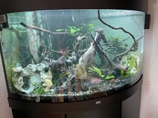 Juwel Eckaquarium 190l
