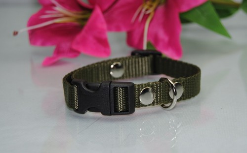 Halsband nylon 15mm oliv - oliv, jack