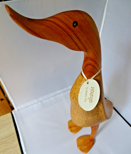 The duck company dcuk - the,