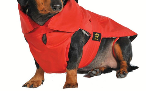 Fashion dog regen warmer - dog, ~