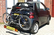 Paulchen für smart 451 cabrio - paulchen,