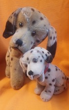 Toller alter Dalmatiner mit