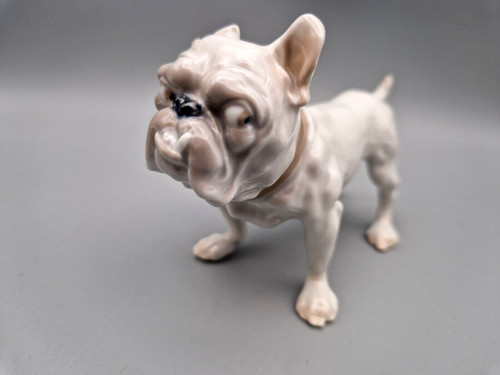 Englische bulldogge - englische,