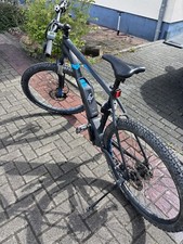 Herren E-Bike Bulls 29 Zoll