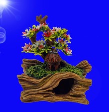 Aquarium Deko 🐟 HOHLER BAUM