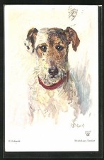 Drahthaar-Terrier mit Halsband, Ansichtskarte 1931 