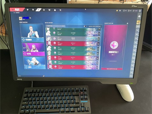 Benq zowie xl2411p esports - benq,