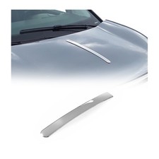 Motorhaube Chromleiste