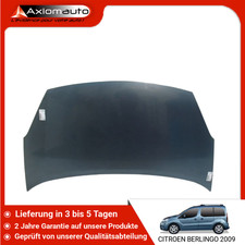 🇩🇪 HAUBE ➤ CITROEN