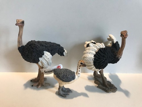 Schleich strauß vogelstrauß - schleich,