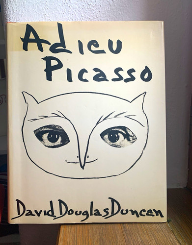 Adieu picasso david - adieu,