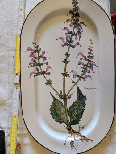 Villeroy boch botanica - boch,