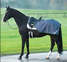 Horseware amigo competition - horseware,