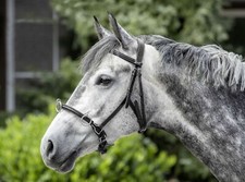 USG Kappzaum aus Leder