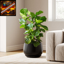 Blumentopf Keramik 25cm