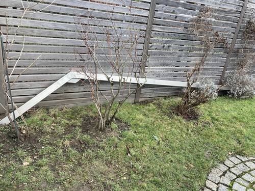 Professioneller edelstahl - professioneller,
