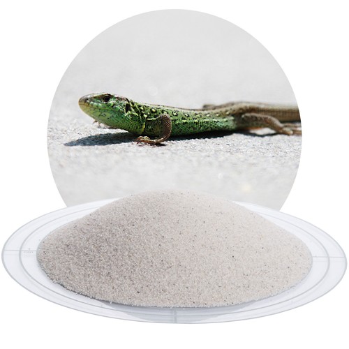 Terrariensand weiß kg - terrariensand,