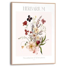 Bild herbarium bht 30x40x1 - bild,